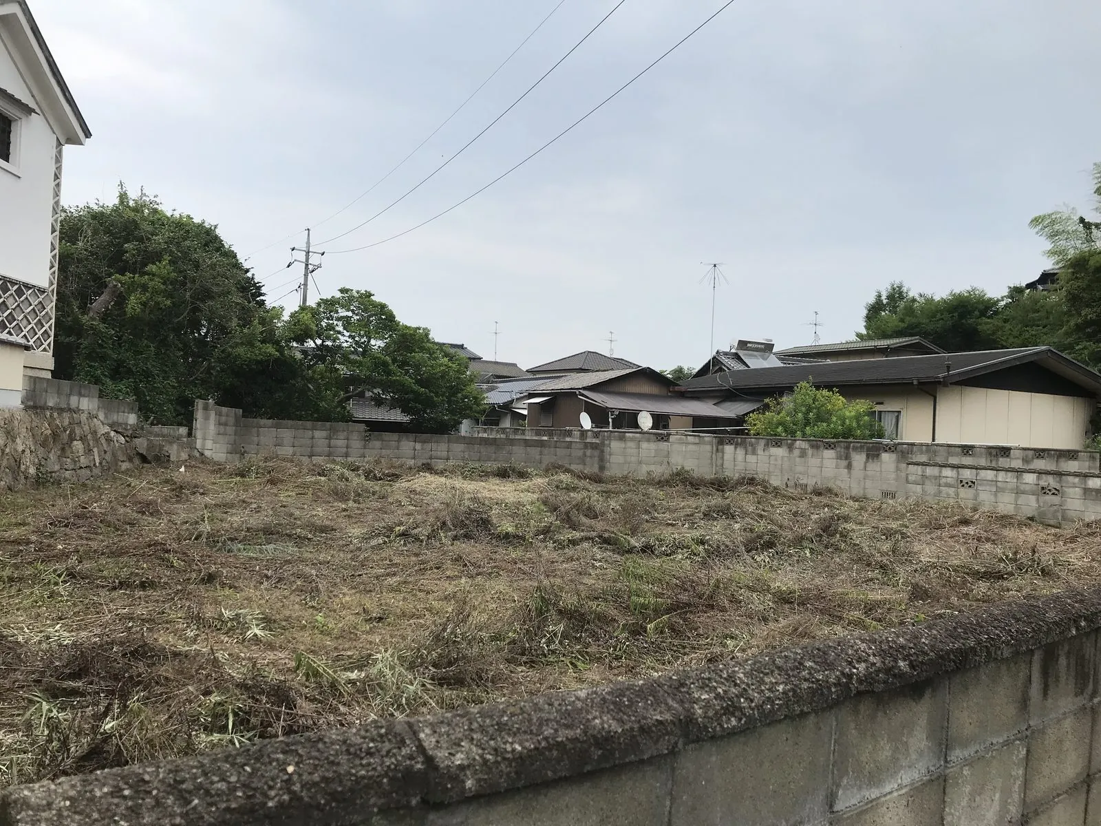 草刈り後の空き地