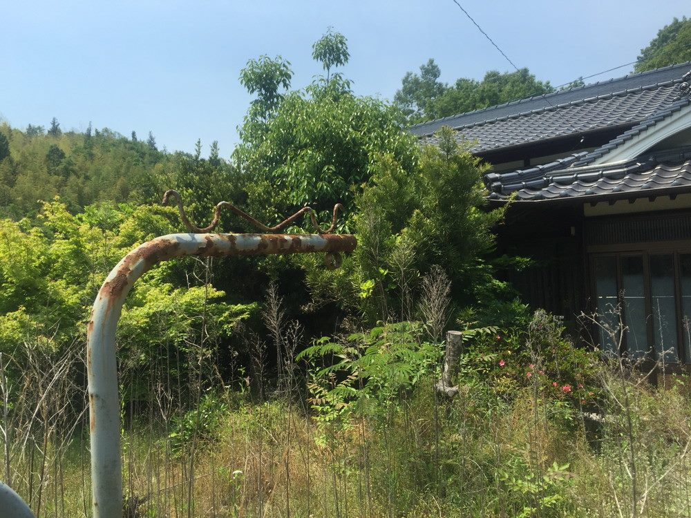 草木に覆われた相続空き家 ― 空き家の相談・売却の実務事例